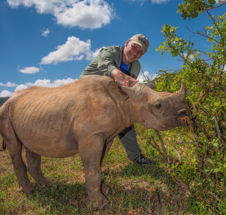 Social Impact Heroes: How Peter Knights and WildAid have helped to reduce the demand for products like elephant ivory, rhino horn and shark fin in Asia