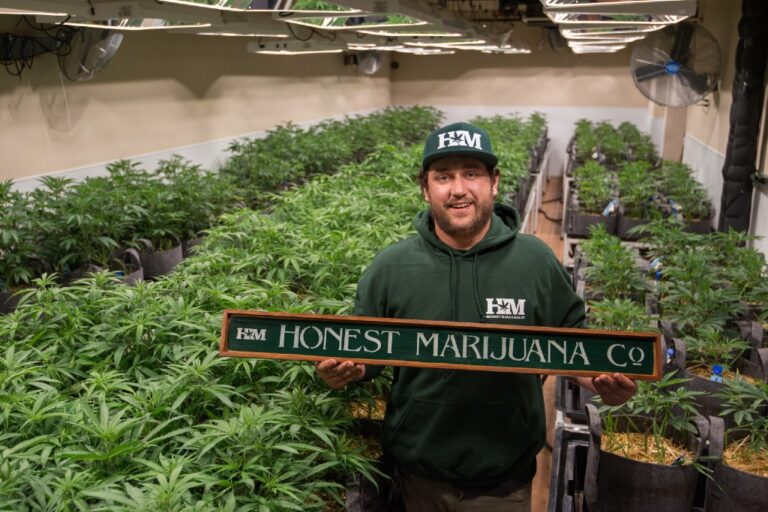 Anthony Franciosi of Honest Marijuana Company: Five Strategies Our Company Is Using To Tackle…