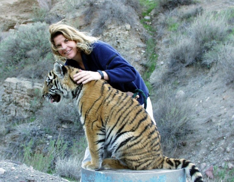 <div>Social Impact Heroes Helping Our Planet: Why & How Dr Jennifer Conrad Is Helping To Change Our Worl</div>
