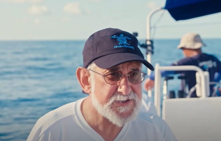 How Todd Steiner Of Turtle Island Restoration Network Is Helping to Promote Sustainability and…