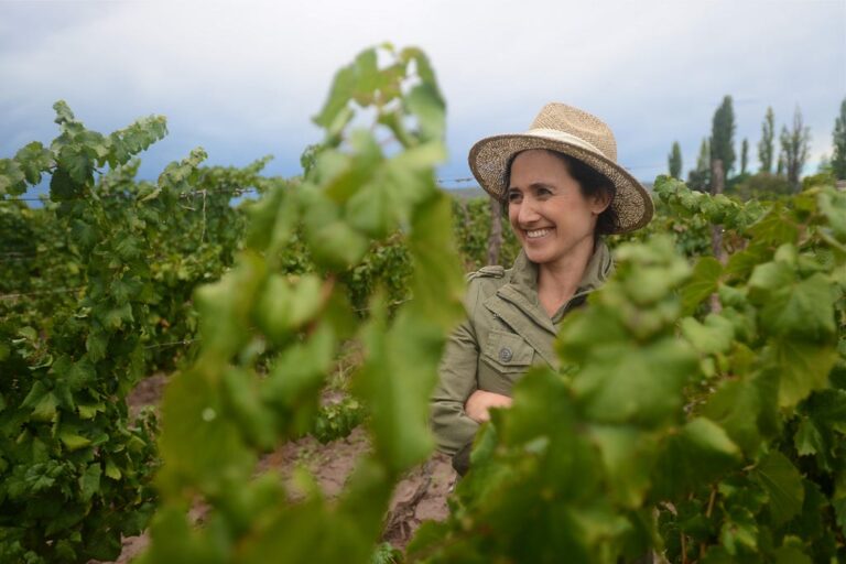 Dr Laura Catena Of Catena Zapata: Five Strategies Our Company Is Using To Tackle Climate Change &…