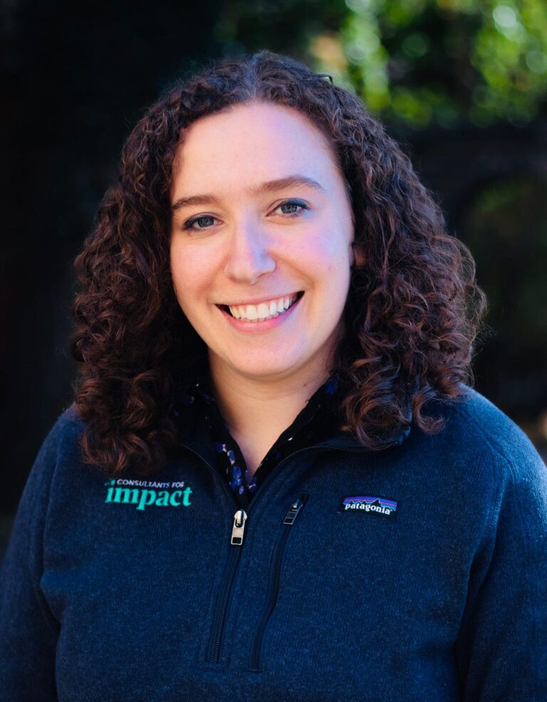 Social Impact Heroes: Why & How Sarah Pomeranz of Consultants for Impact Is Helping To Change Our…